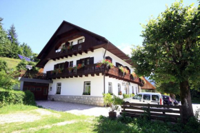 Отель Accommodation Resman, Бохиньска Быстрица